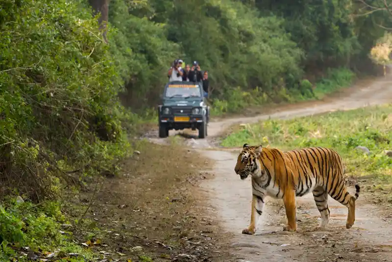 Jim Corbett National Park